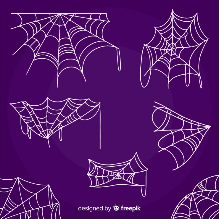 Free Vector hand drawn cobweb collection