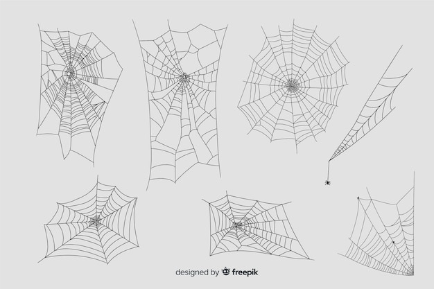 Hand drawn cobweb collection