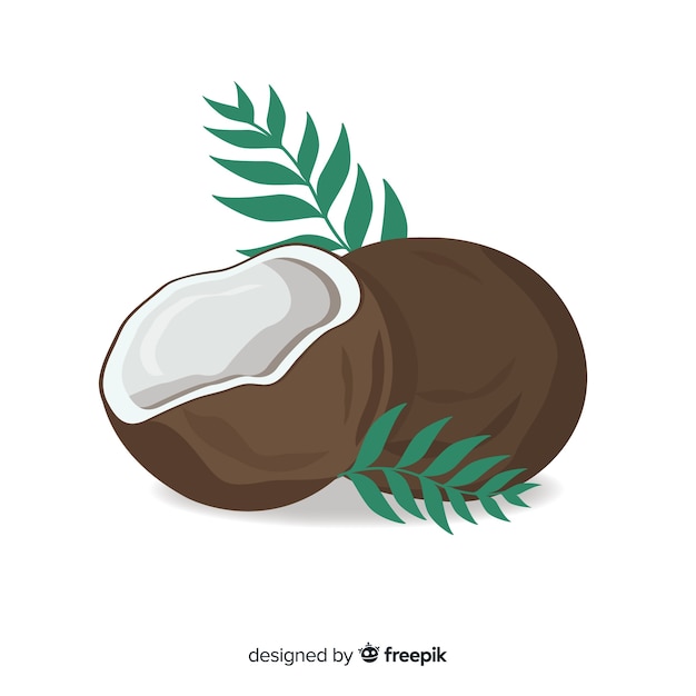 Free vector hand drawn coconut background