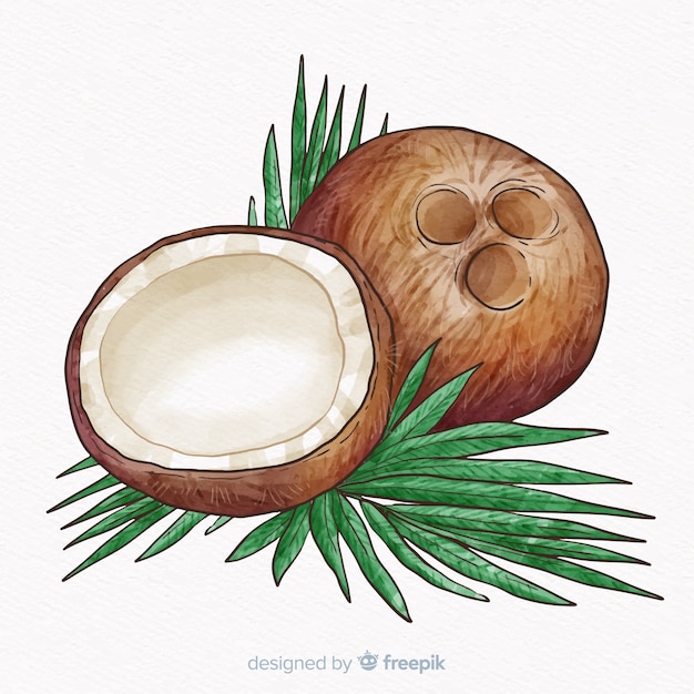 Hand drawn coconut background