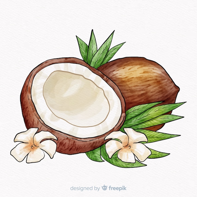 Free vector hand drawn coconut background