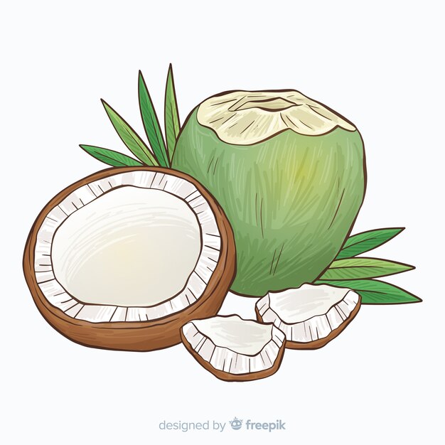 Hand drawn coconut background