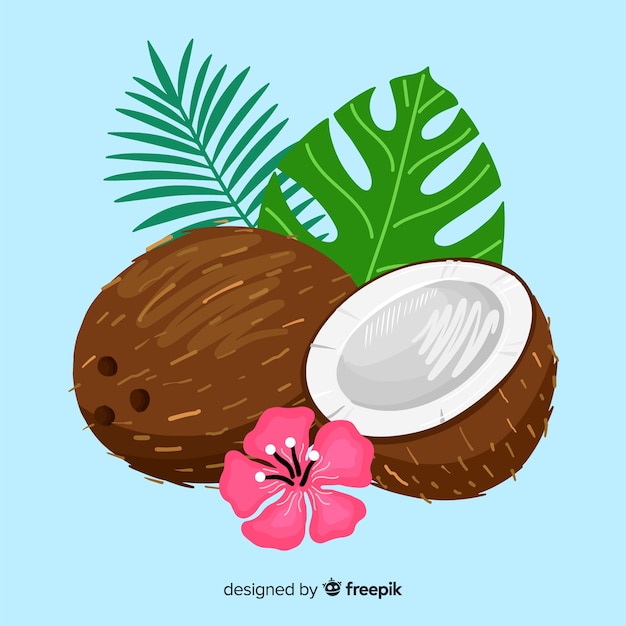 Free vector hand drawn coconut background