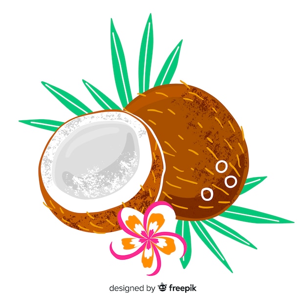 Free vector hand drawn coconut background