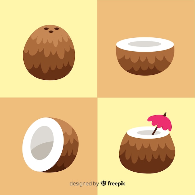 Free vector hand drawn coconut collection