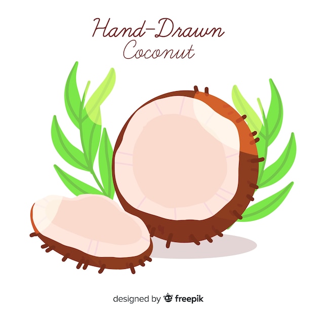 손으로 그린 코코넛 그림