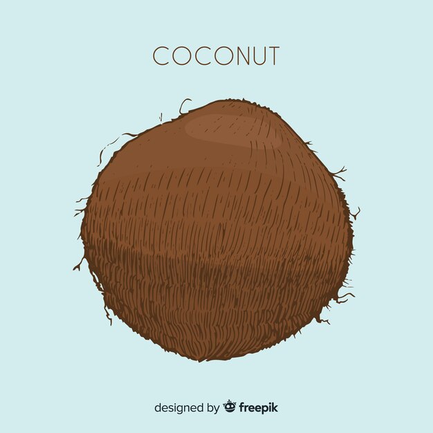 Hand drawn coconut illustration