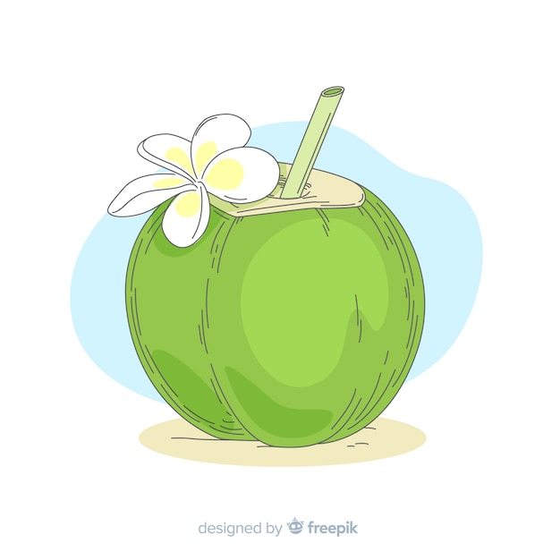 Free vector hand drawn coconut illustration