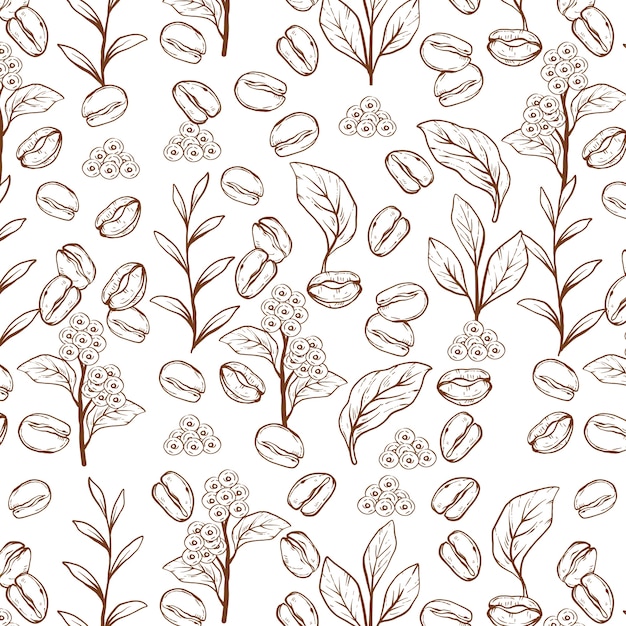 Free vector hand drawn coffee bean drawing pattern