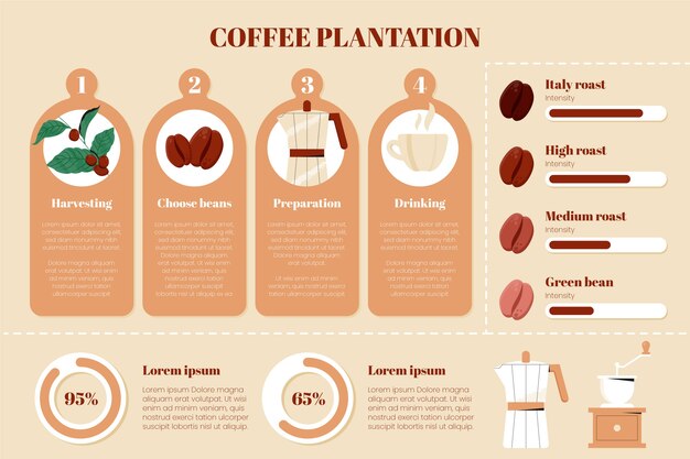 Hand drawn coffee plantation infographic template
