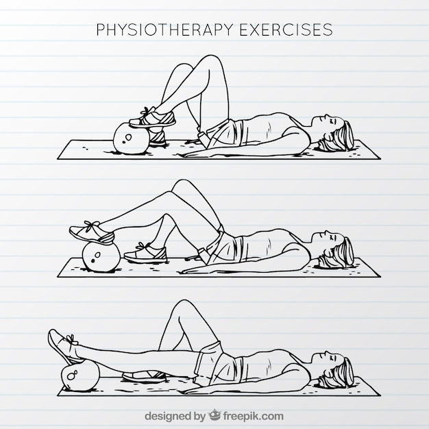 Бесплатное векторное изображение Ручная коллекция физиотерапевтических упражнений