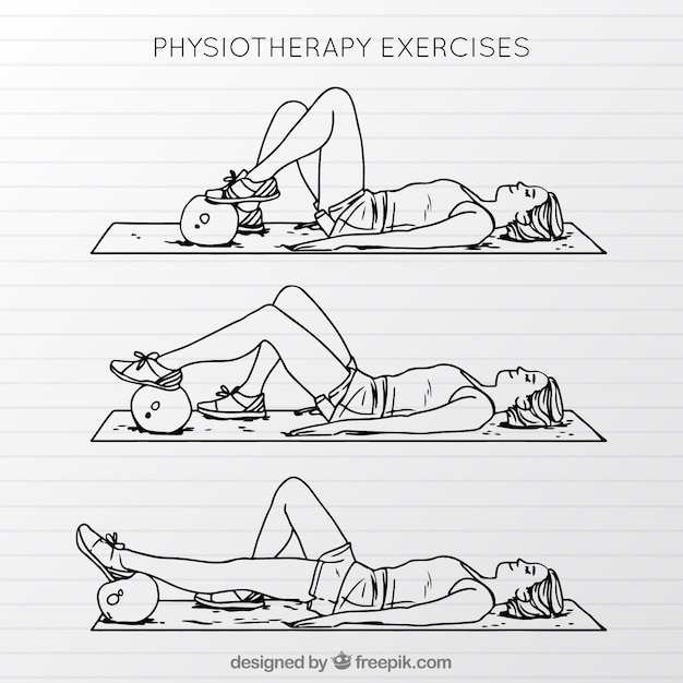 Free vector hand drawn collection of physiotherapy exercises