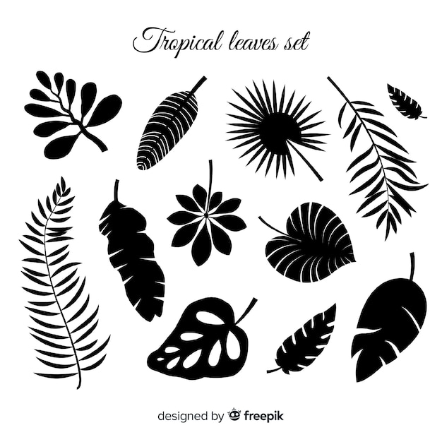 Hand drawn collection of tropical leaves