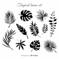 Free vector hand drawn collection of tropical leaves