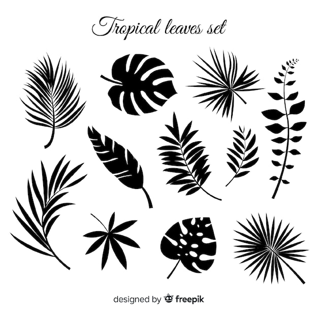 Hand drawn collection of tropical leaves