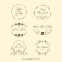 Free vector hand drawn collection of wedding ornaments