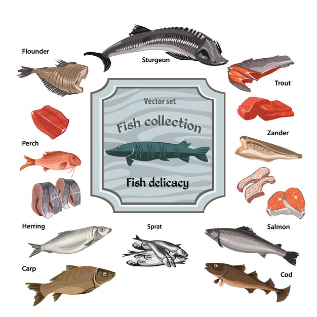 Коллекция рисованной цветные морепродукты