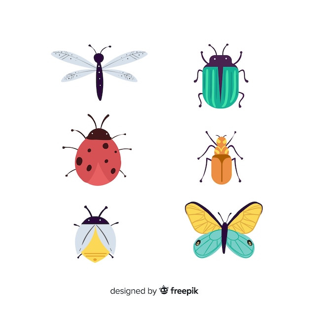 Free vector hand drawn colorful bug collection