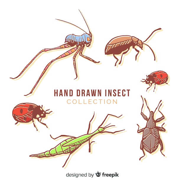 Free vector hand drawn colorful bug collection