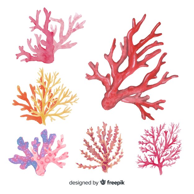 Нарисованная рукой красочная коллекция кораллов
