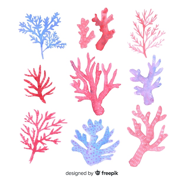 Hand drawn colorful coral collection