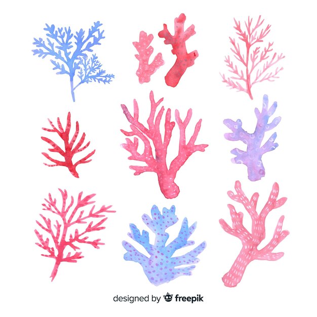 Hand drawn colorful coral collection