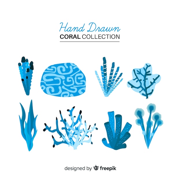 Hand drawn colorful coral collection