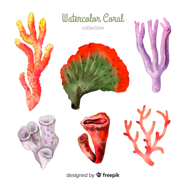 Free vector hand drawn colorful coral collection