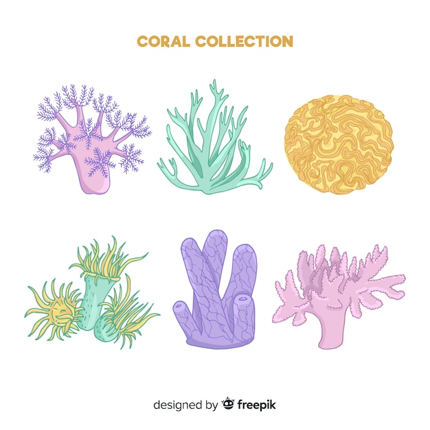 Hand drawn colorful coral collection