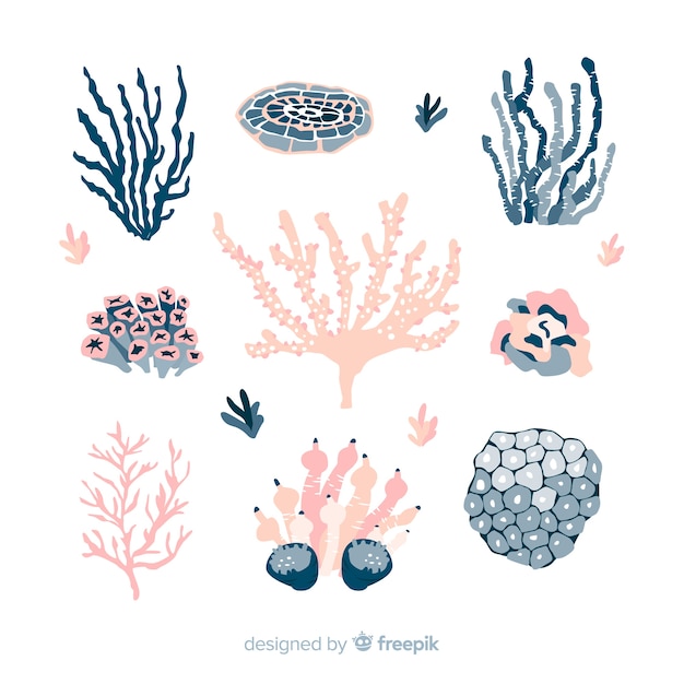 Нарисованная рукой красочная коллекция кораллов
