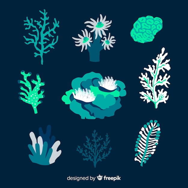 Free vector hand drawn colorful coral collection