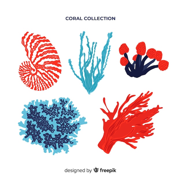 Hand drawn colorful coral pack