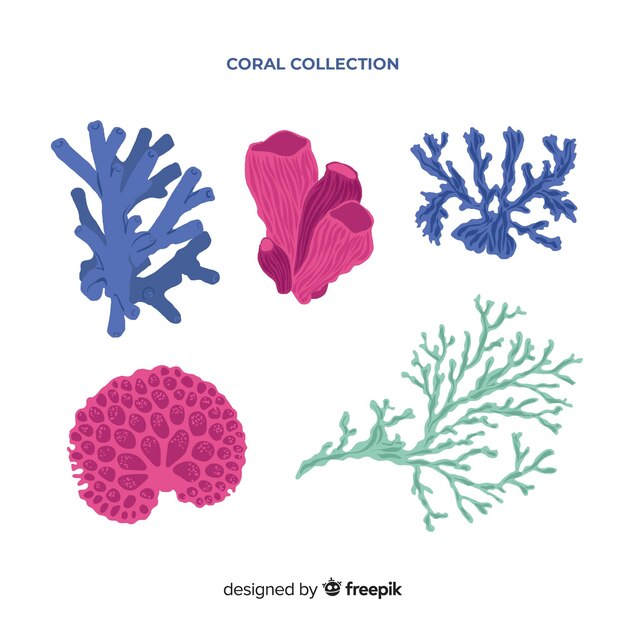 Hand drawn colorful coral pack