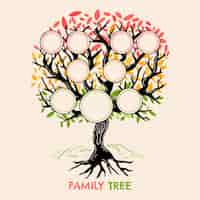 Free vector hand drawn colorful family tree