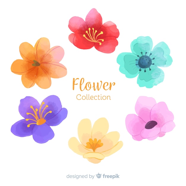Hand drawn colorful floral set