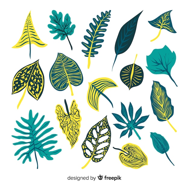 Free vector hand drawn colorful flowers and leaves collection