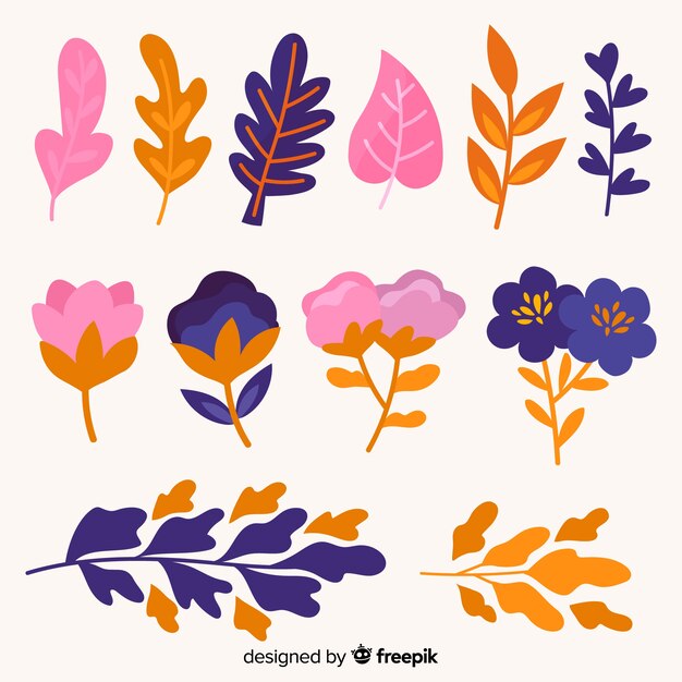 Hand drawn colorful flowers and leaves collection