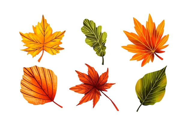 Free vector hand drawn colorful leaves collection