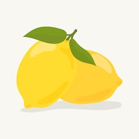 Hand drawn colorful lemon illustration