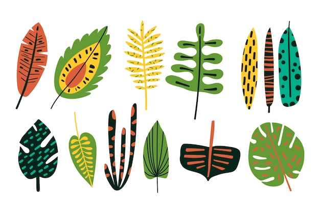 Hand drawn colorful tropical leaves collection