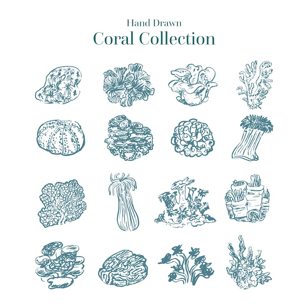 Free vector hand drawn colorless coral collection