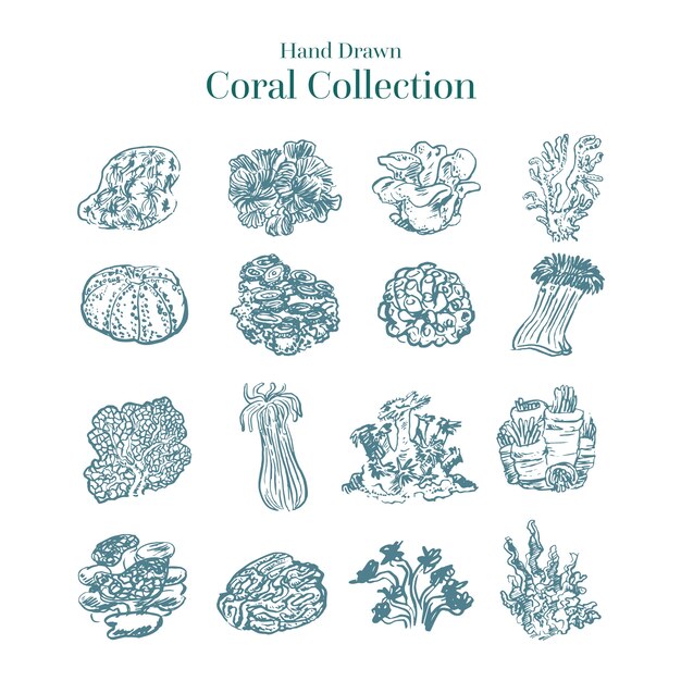 Hand drawn colorless coral collection