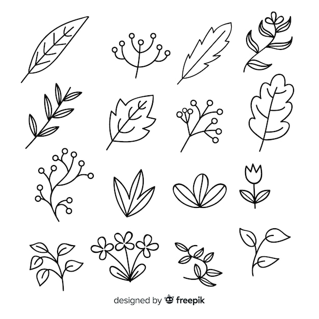 Hand drawn colorless floral decoration element set