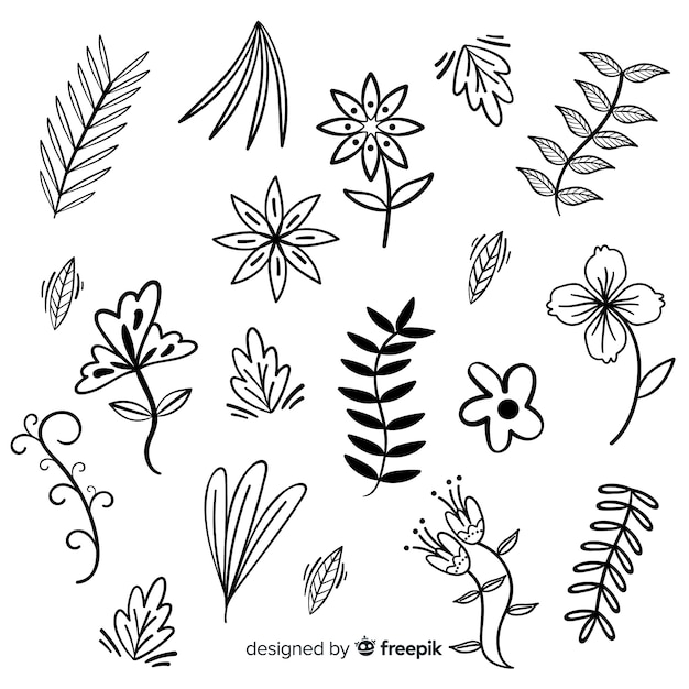 Hand drawn colorless floral decoration elements
