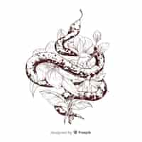 Free vector hand drawn colorless snake with flowers background