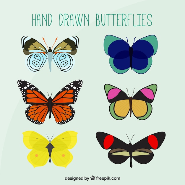 Free vector hand drawn colors butterflies pack