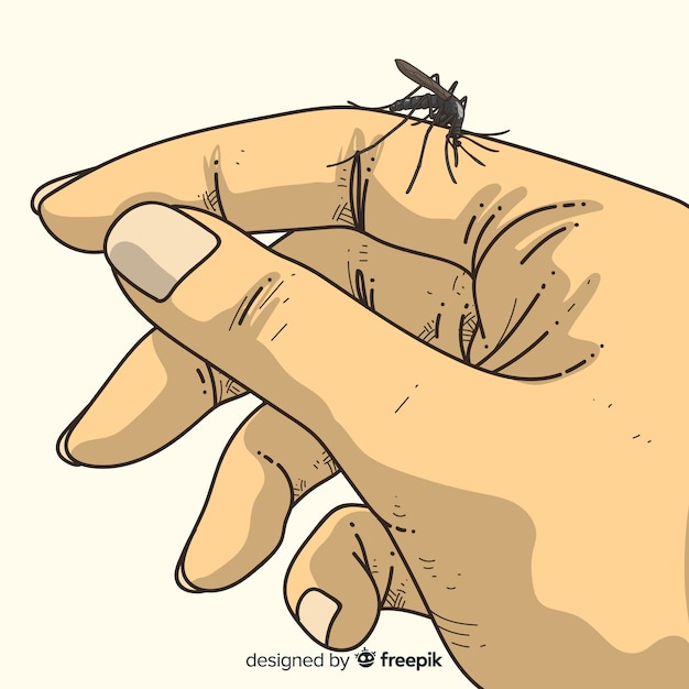 Vettore gratuito composizione disegnata a mano di zanzara mordace a