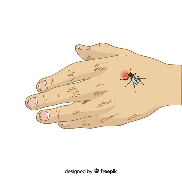 Hand drawn composition of mosquito biting a