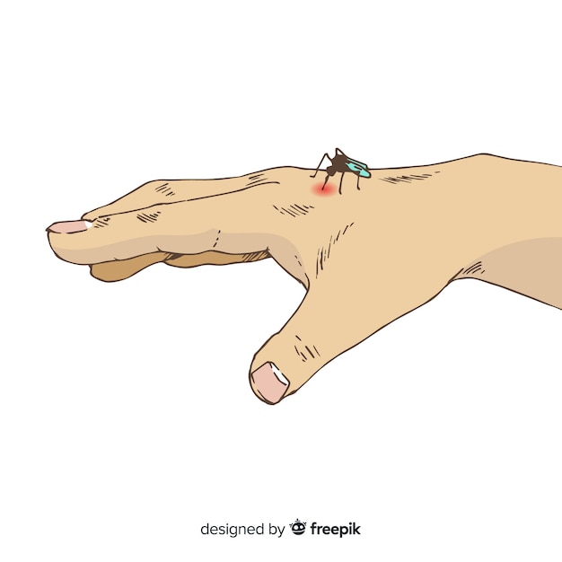 Hand drawn composition of mosquito biting a