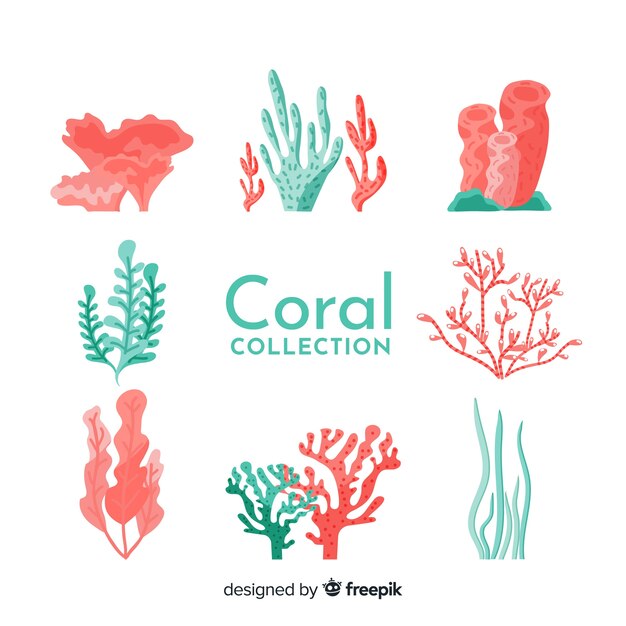 Hand drawn coral collection